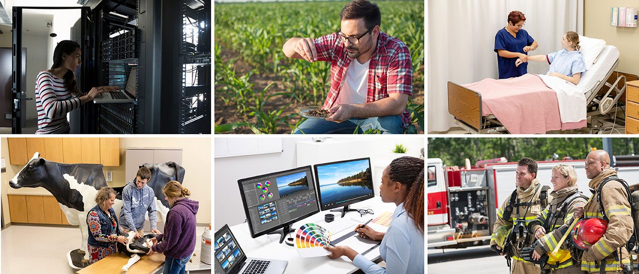 Six images: one of a person working in IT, one of someone in a farm field, one of two people in a hospital setting, one of people in an ag class, one of a digital marketing professional, and one of three firefighters.