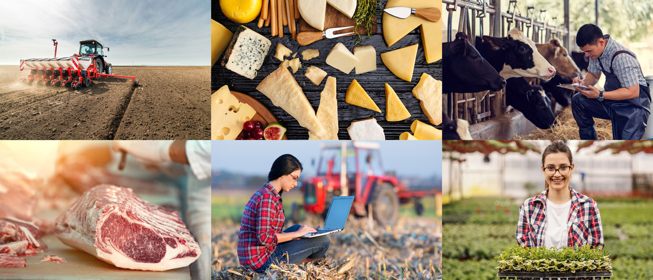 Six images: one of a combine, one of different kinds of cheese, one of a farmer tending to cows, one of a piece of meat preparing for butcher, one of a farmer in a field using a laptop, and one of a farmer in a greenhouse growing crops.