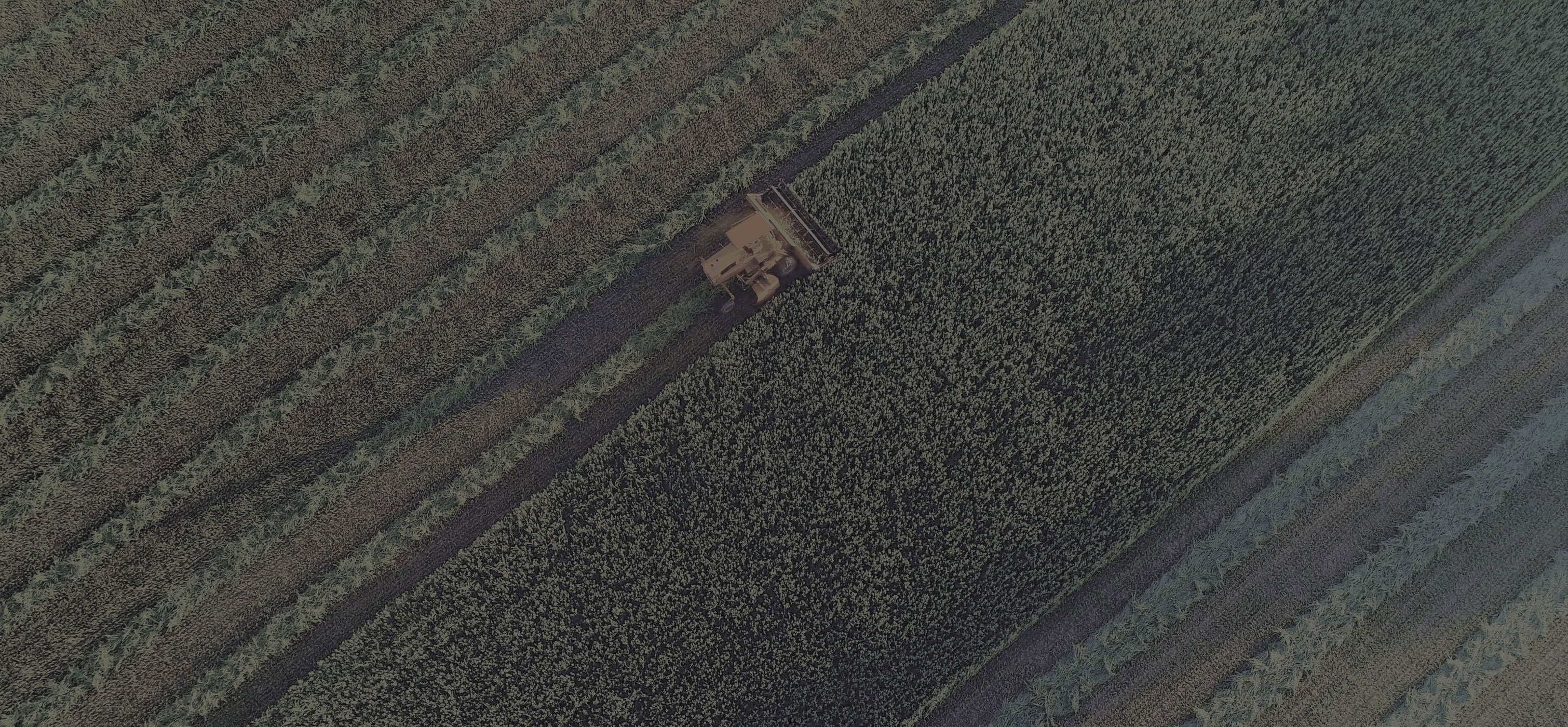 Tractor working through a farm field.