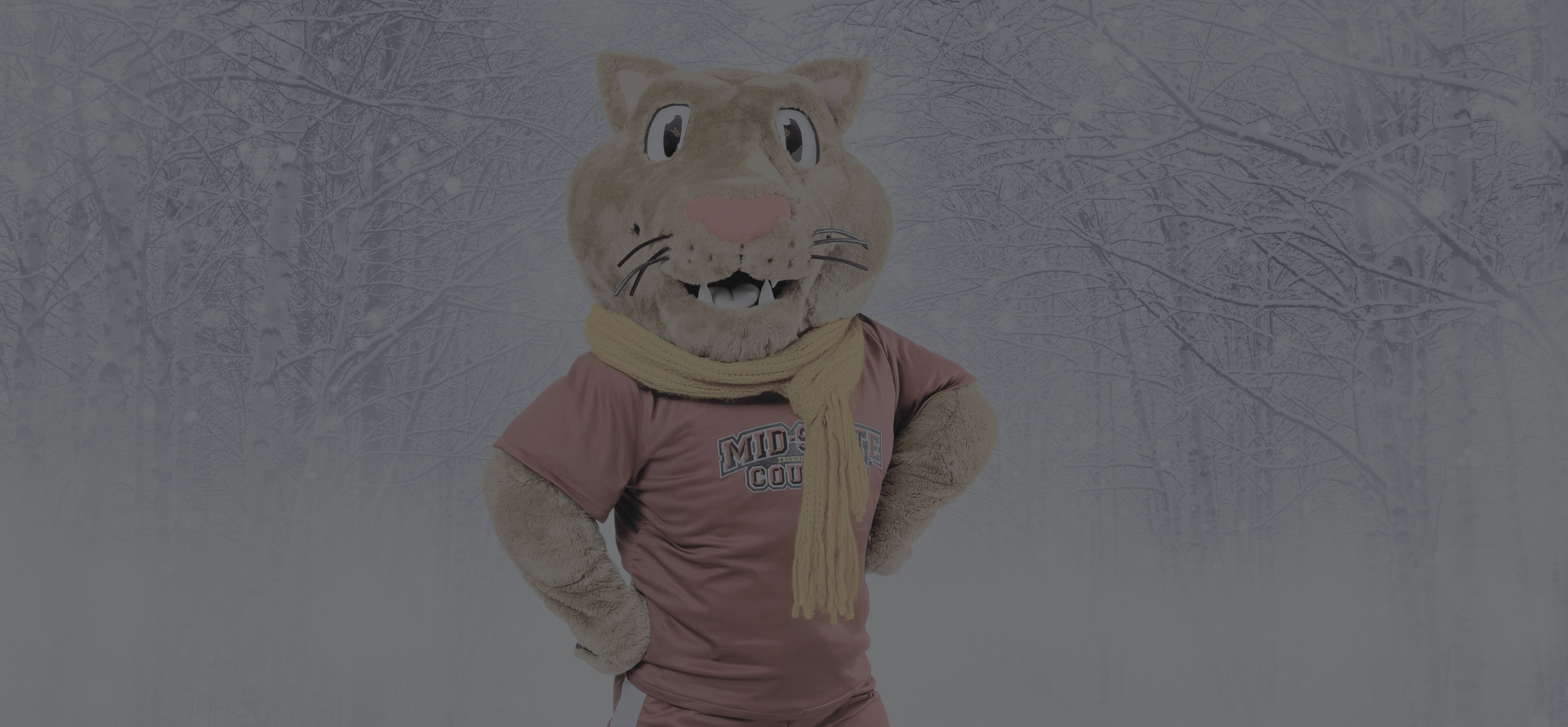 Mid-State Mascot Grit wearing a scarf with a snowy background