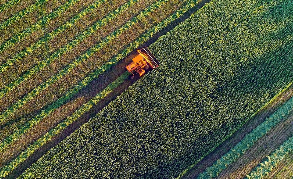 Overhead view of tractor in a field.