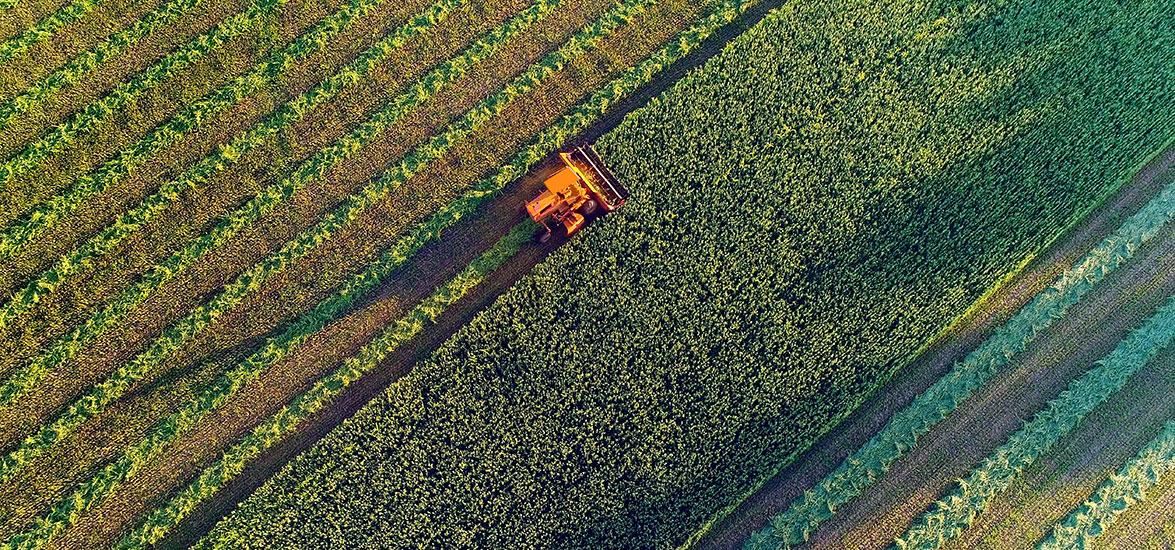 Overhead view of tractor in a field.