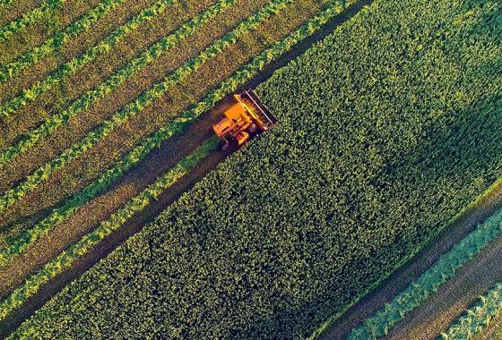 Overhead view of tractor in a field.